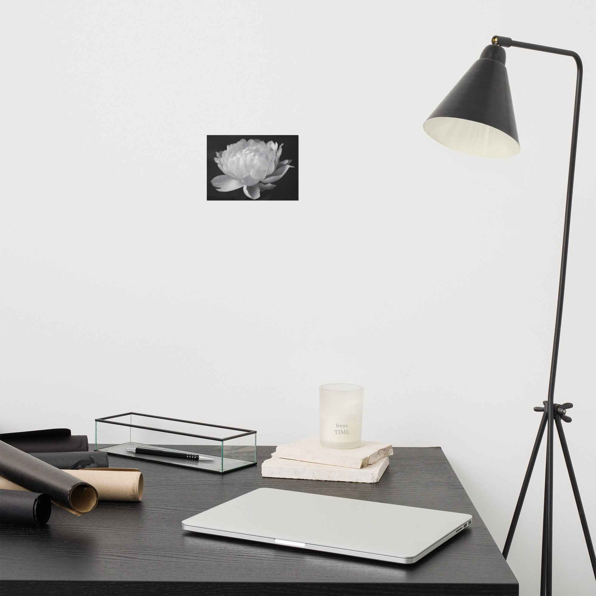 Velvet Shadows Floral Photorealistic Digital Artwork Peony Flower Prints Black and White Unframed