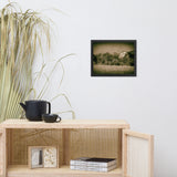 Abandoned Barn In The Trees Vintage Framed Photo Paper Wall Art Prints