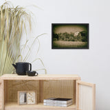 Abandoned Barn In The Trees Vintage Framed Photo Paper Wall Art Prints