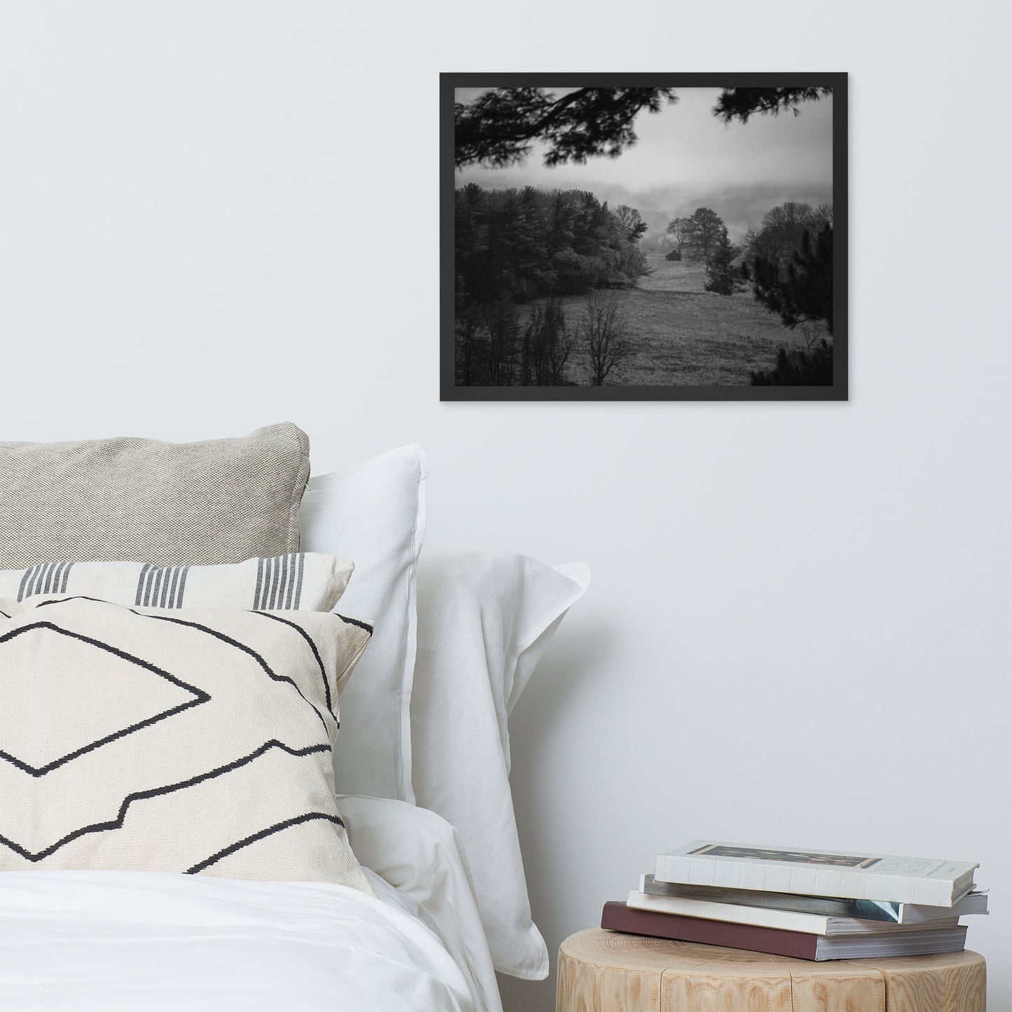 Mist of Valley Forge in Black and White Framed Photo Paper Wall Art Prints