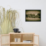 Abandoned Barn In The Trees Vintage Framed Photo Paper Wall Art Prints