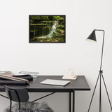Pixley Waterfall 1 Landscape Framed Photo Paper Wall Art Prints