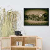 Abandoned Barn In The Trees Vintage Framed Photo Paper Wall Art Prints