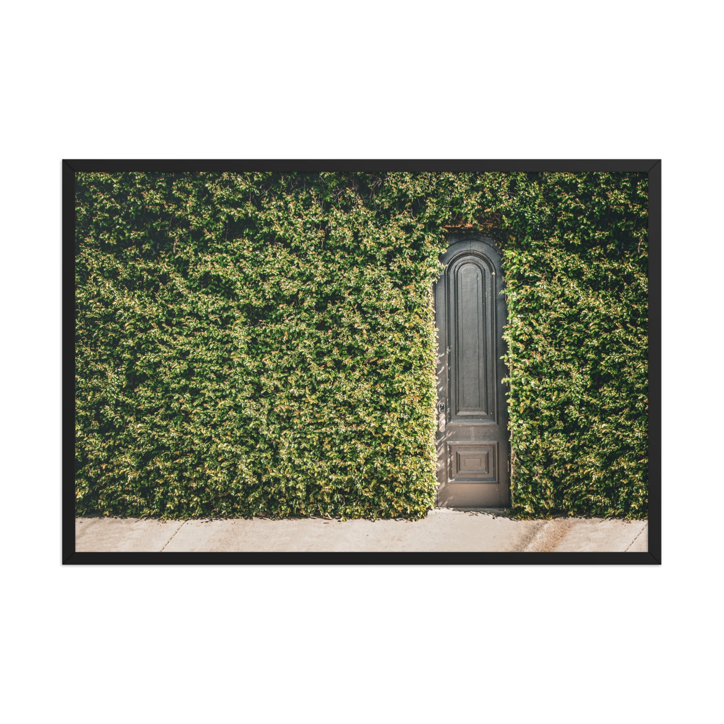 Old Wooden Door and Ivy Savannah Ga Nature Architectural Photograph Framed Wall Art Print