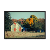 Patriotic Weathered Barn in Field - Cross Processed Framed Photo Paper Wall Art Prints