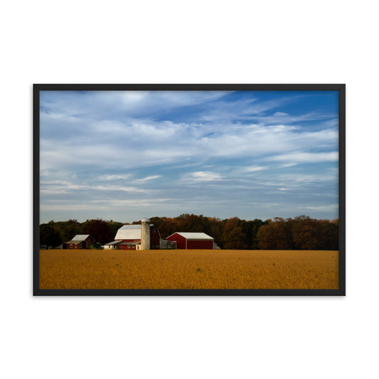 Red Barn in Golden Field Rural Landscape Framed Photo Paper Wall Art Prints