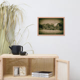 Abandoned Barn In The Trees Vintage Framed Photo Paper Wall Art Prints
