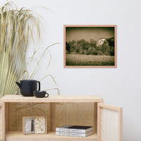 Abandoned Barn In The Trees Vintage Framed Photo Paper Wall Art Prints