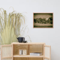 Abandoned Barn In The Trees Vintage Framed Photo Paper Wall Art Prints