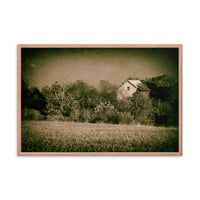 Abandoned Barn In The Trees Vintage Framed Photo Paper Wall Art Prints