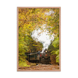 Steam Train with Autumn Foliage Rural Landscape Framed Photo Paper Wall Art Prints