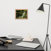 Pixley Waterfall 1 Landscape Framed Photo Paper Wall Art Prints