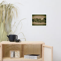 Abandoned Barn In The Trees Vintage Framed Photo Paper Wall Art Prints