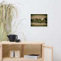 Abandoned Barn In The Trees Vintage Framed Photo Paper Wall Art Prints