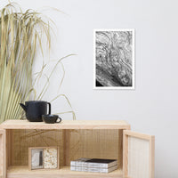 Dead Tree Boneyard Beach Florida Texture Close-up 5 Black and White Rustic Nature Photo Framed Wall Art Print