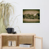 Abandoned Barn In The Trees Vintage Framed Photo Paper Wall Art Prints