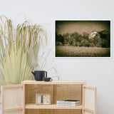 Abandoned Barn In The Trees Vintage Framed Photo Paper Wall Art Prints