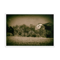 Abandoned Barn In The Trees Vintage Framed Photo Paper Wall Art Prints