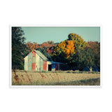 Patriotic Weathered Barn in Field - Cross Processed Framed Photo Paper Wall Art Prints