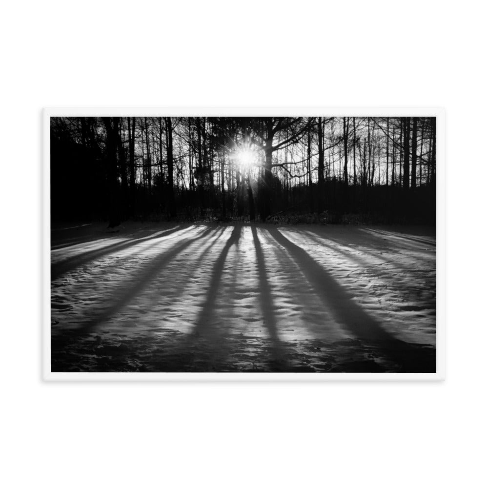 Winter Shadows from the Trees Black & White Framed Photo Paper Wall Art Prints