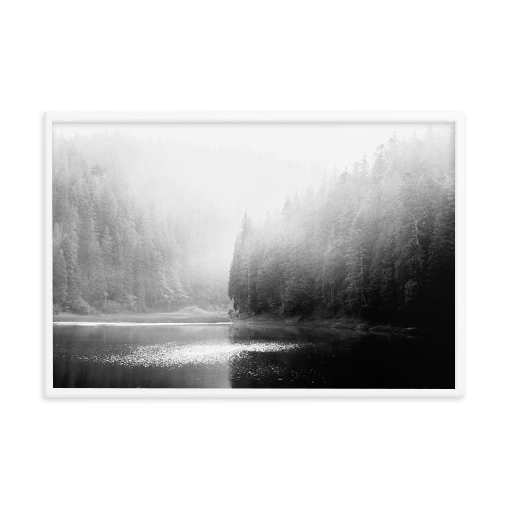 Foggy River and Pine Trees Rustic Landscape Photograph Framed Wall Art Print