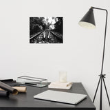 Lead Me Into The Light Black and White Landscape Photo Loose Wall Art Prints