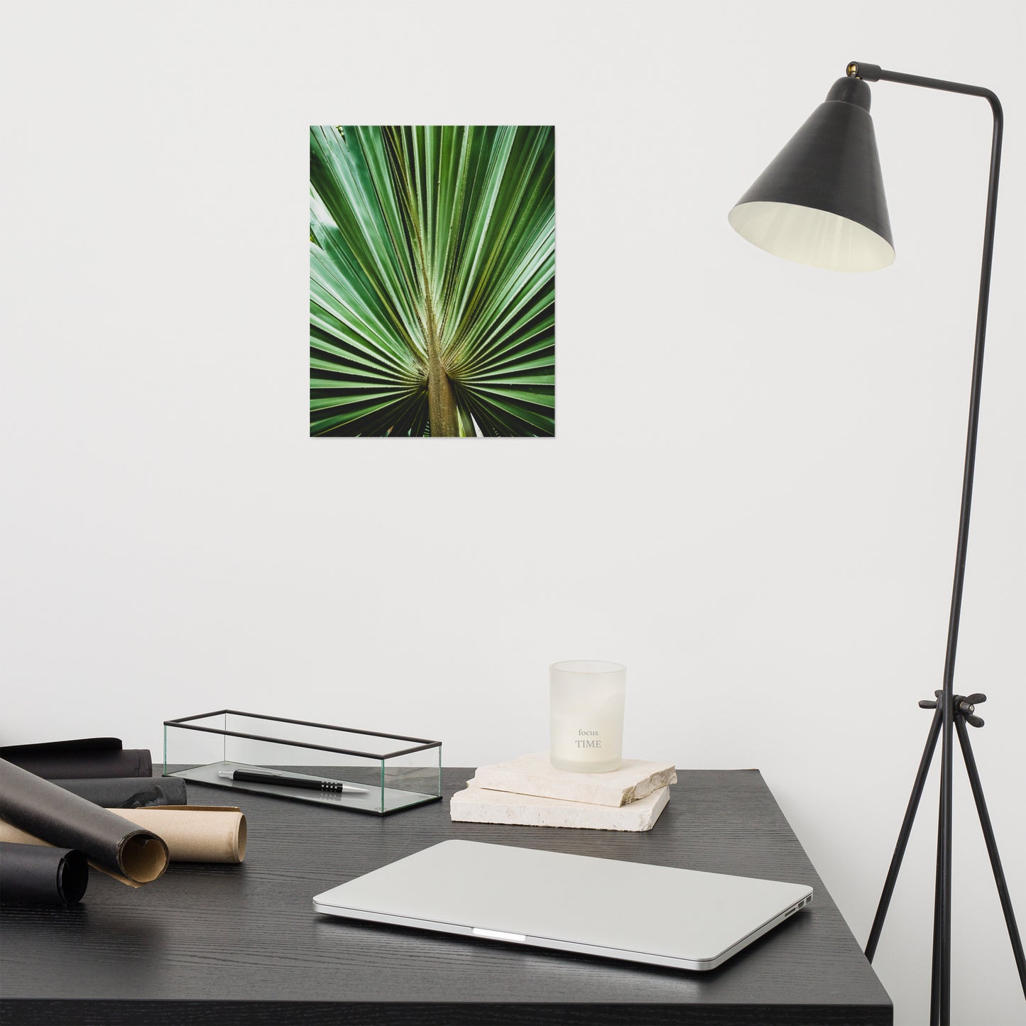 Medical Office Artwork: Aged and Colorized Wide Palm Leaves 2 - Botanical / Plants / Nature Photograph Loose / Unframed Wall Art Print - Artwork