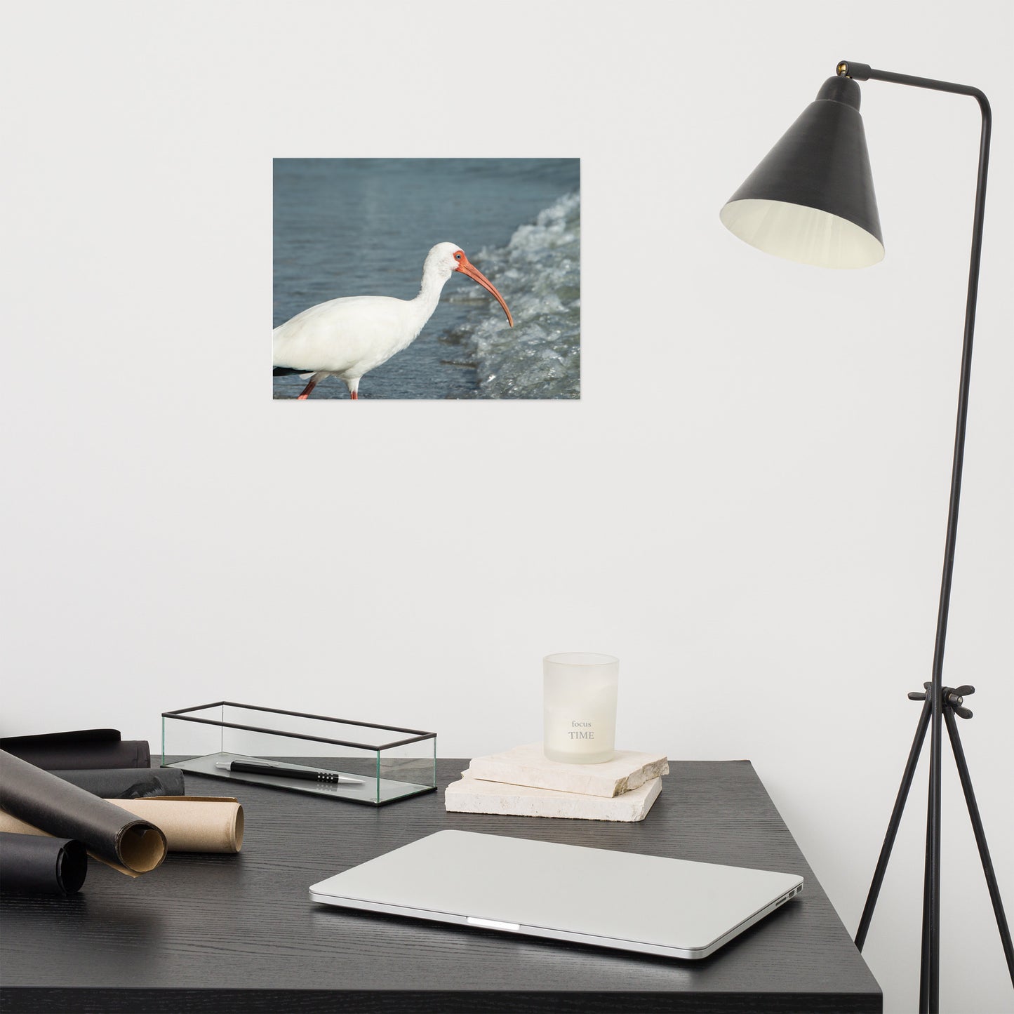 Close Up White Ibis on Beach Wildlife Photo Loose Wall Art Print