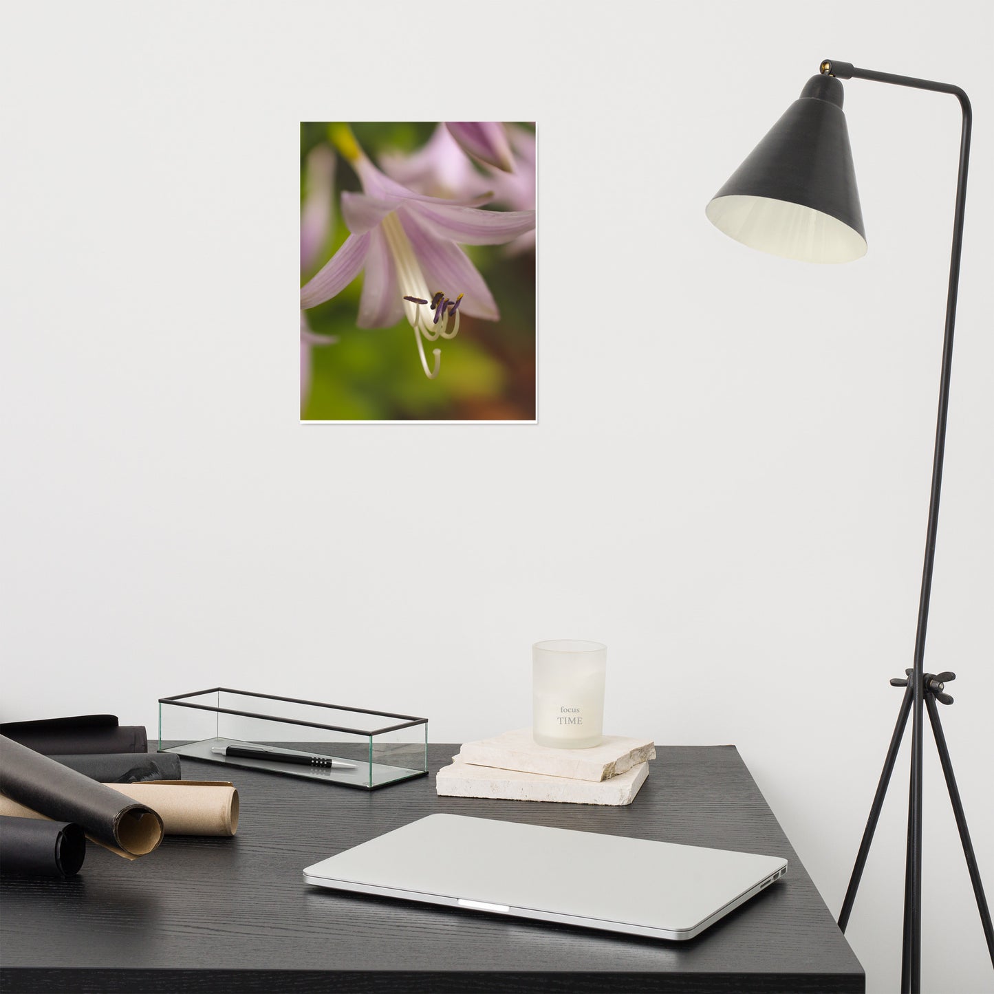 Close-up Hosta Bloom Floral Nature Photo Loose Unframed Wall Art Prints