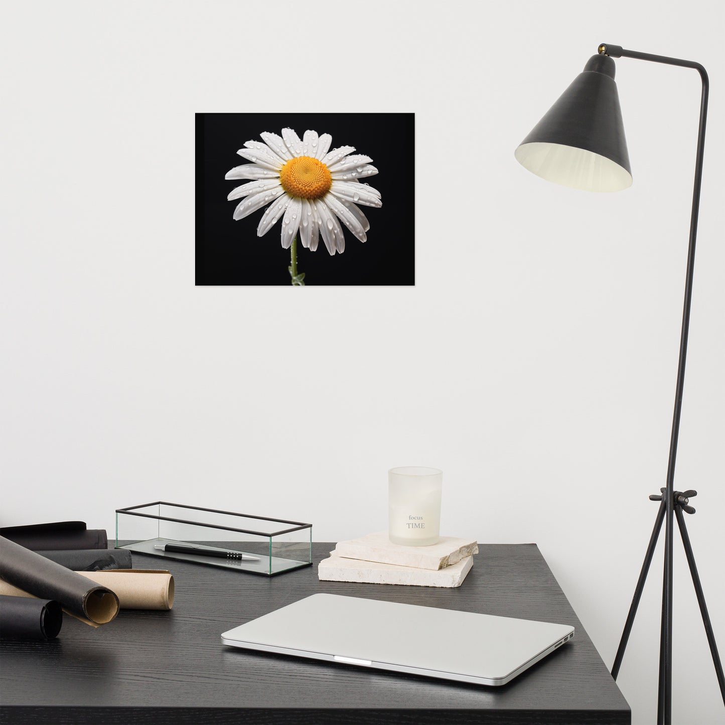 White Flower Black Background Painting: Dew-kissed Daisy Floral Photorealism - Digital Artwork Loose Art Print