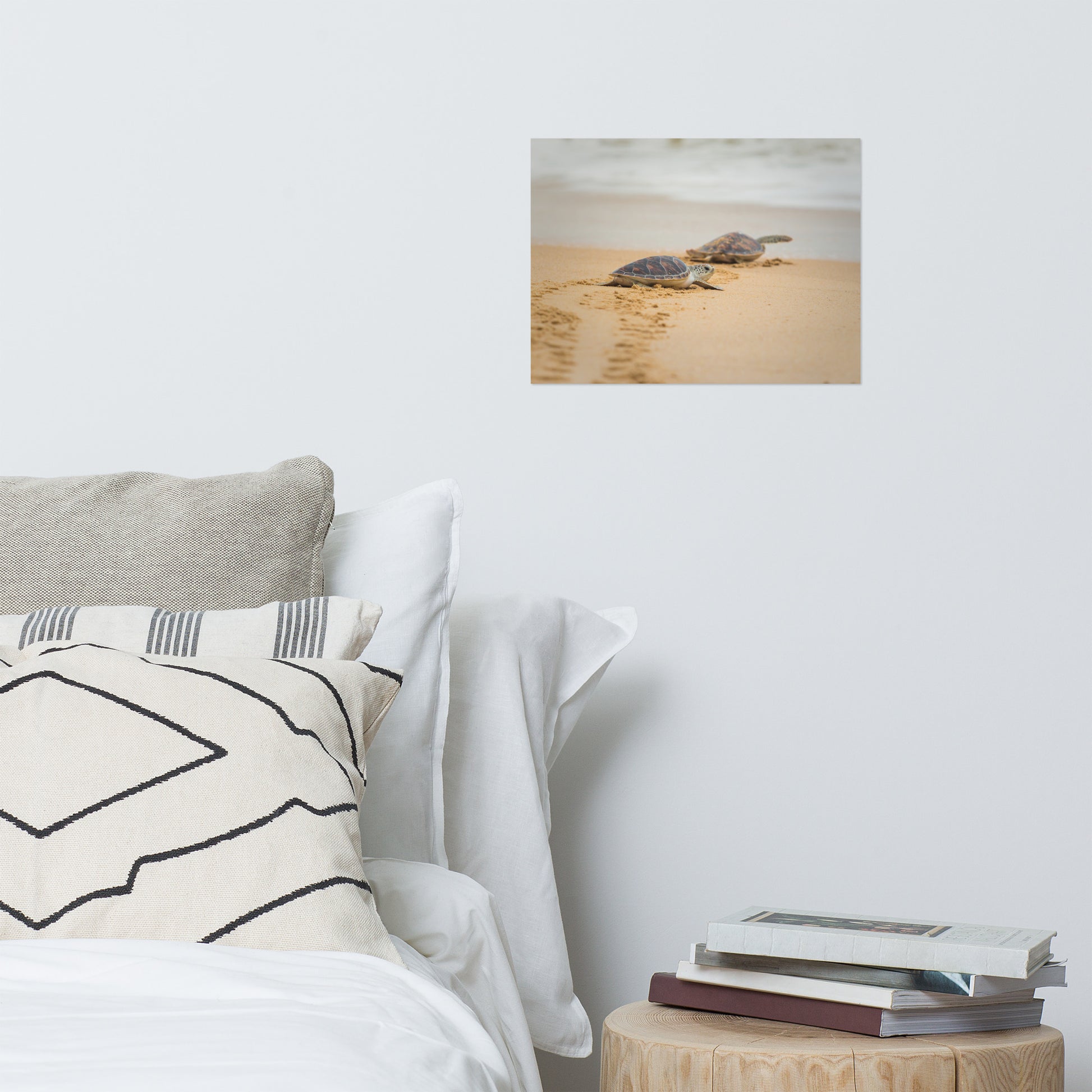 Aesthetic Posters For Room: Hawksbill Sea Turtle Hatchlings at the Shore Animal / Wildlife / Coastal / Nature Photograph Unframed / Loose / Frameless / Frameable Wall Art Prints - Artwork