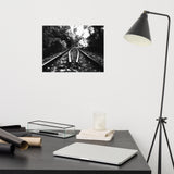 Lead Me Into The Light Black and White Landscape Photo Loose Wall Art Prints