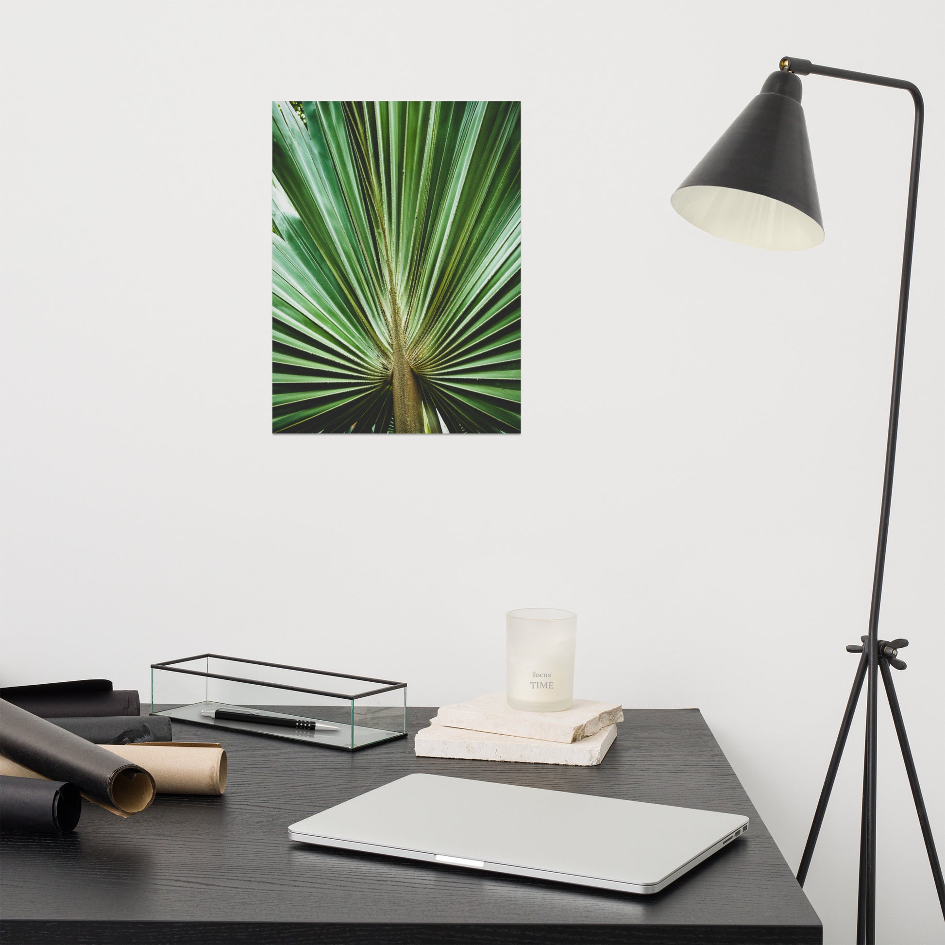 Medical Office Wall Art: Aged and Colorized Wide Palm Leaves 2 - Botanical / Plants / Nature Photograph Loose / Unframed Wall Art Print - Artwork