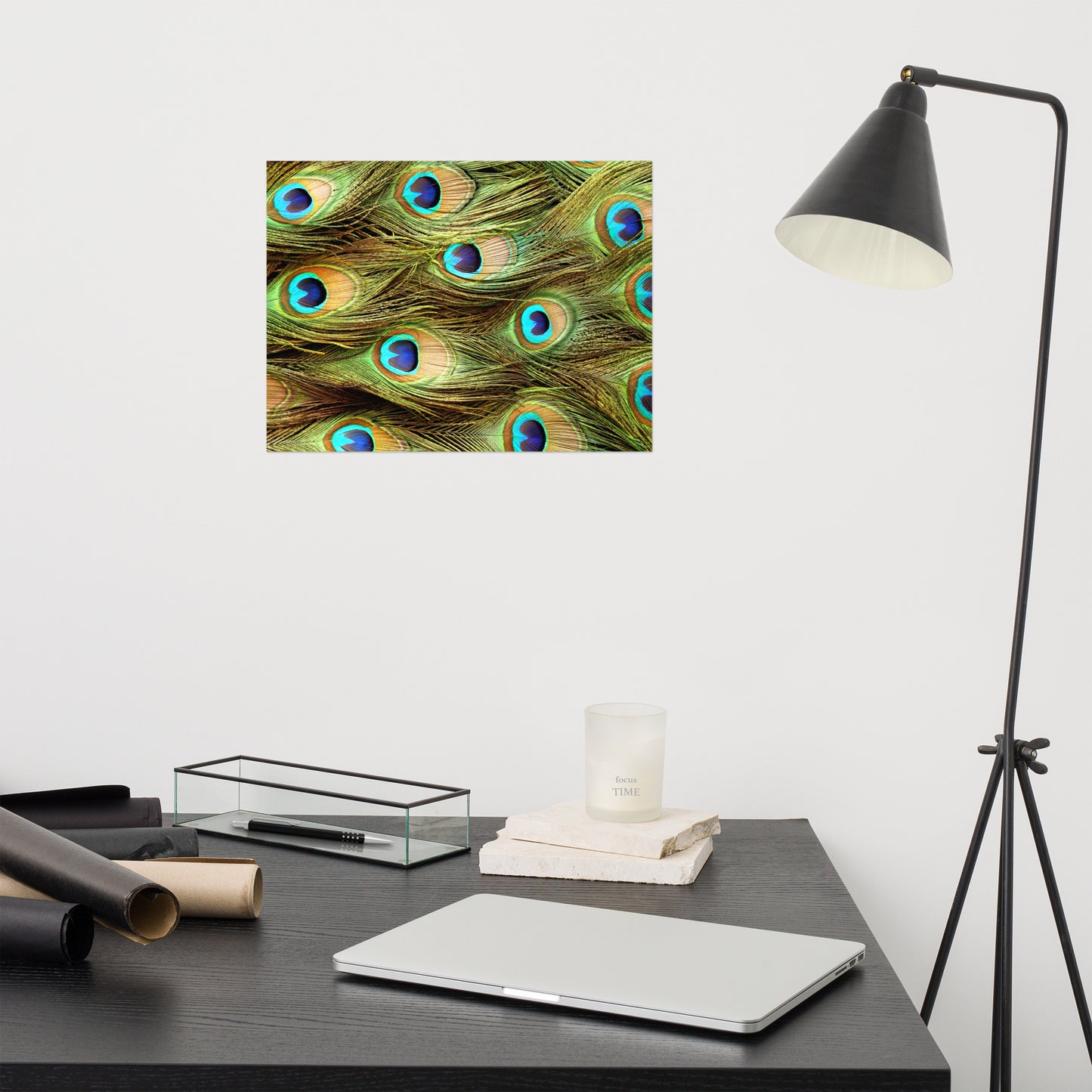 Peacock Feathers Close-Up Minimal Wildlife Wall Art Prints - Loose - Unframed