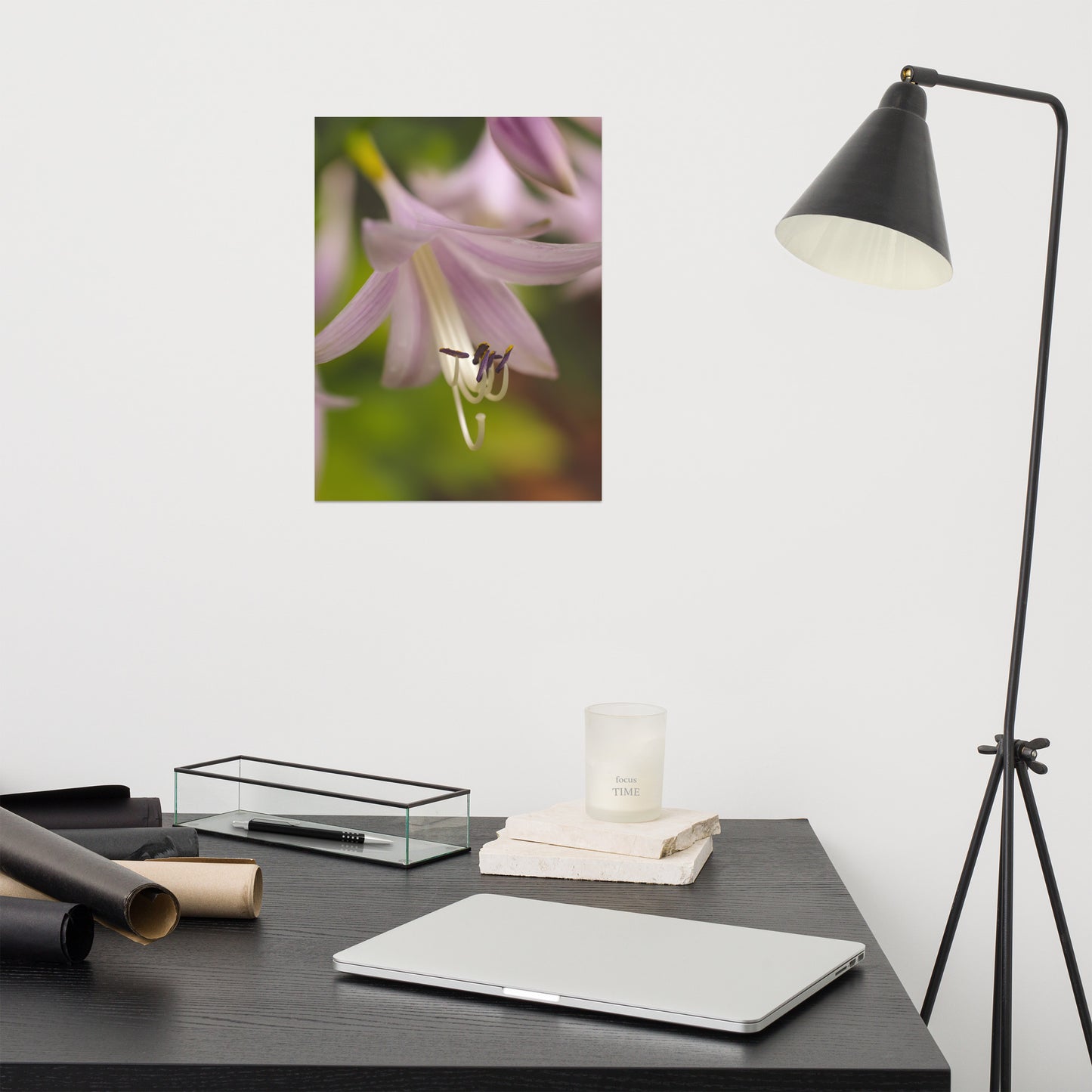 Close-up Hosta Bloom Floral Nature Photo Loose Unframed Wall Art Prints