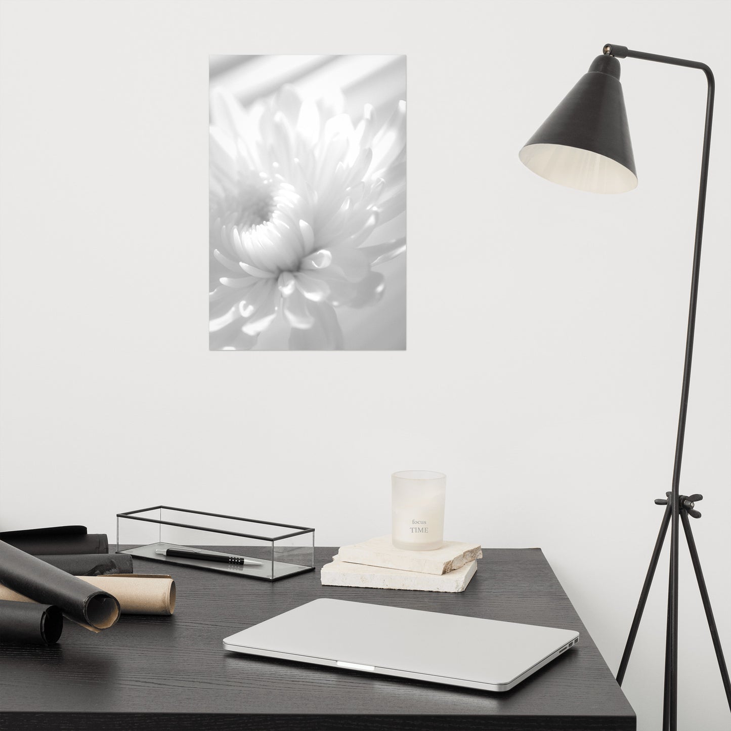 Infrared Flower Black and White Floral Nature Photo Loose Unframed Wall Art Prints