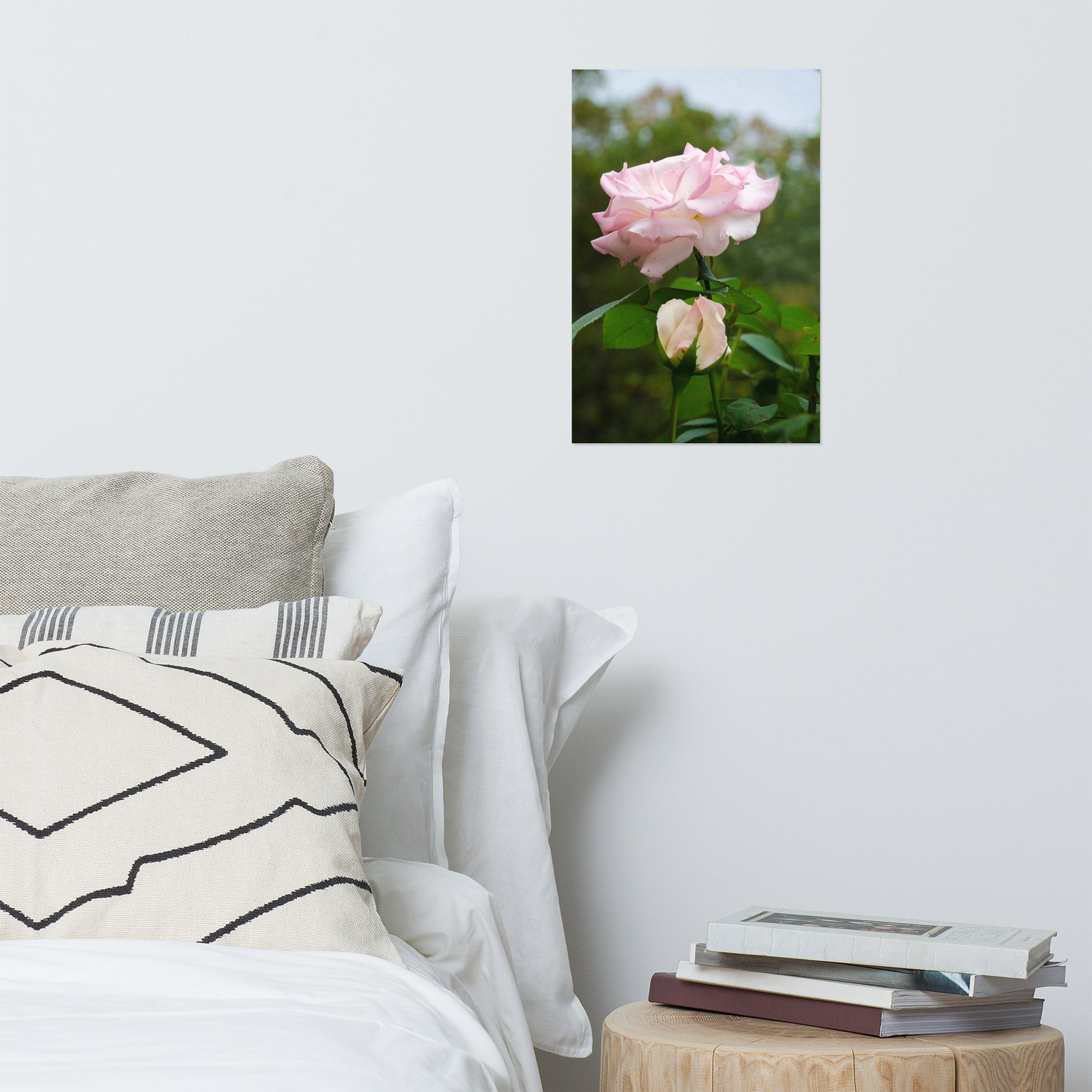Wall Print Flower: Admiration Rose - Botanical / Floral / Flora / Flowers / Nature Photograph Loose / Unframed / Frameless / Frameable Wall Art Print - Artwork