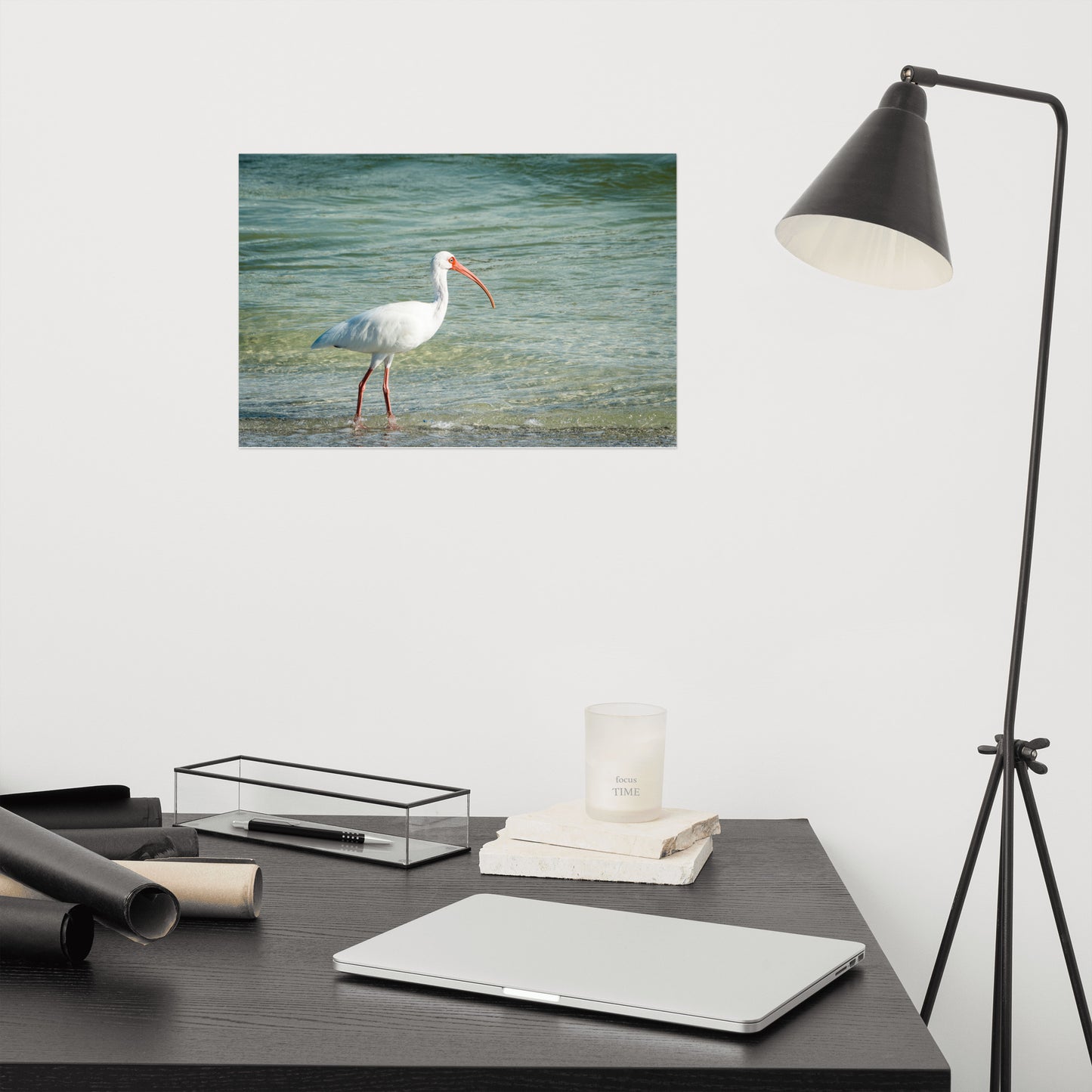 Daydreaming Ibis of the Coast Wildlife Photo Loose Wall Art Print