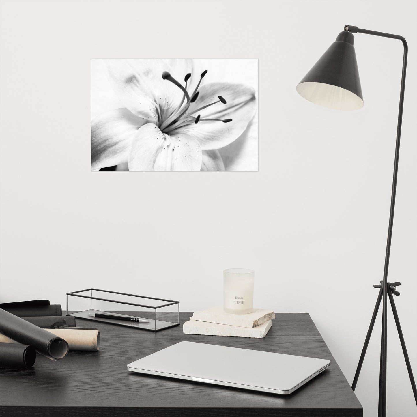 High Key Lily Floral Nature Photo Loose Unframed Wall Art Prints