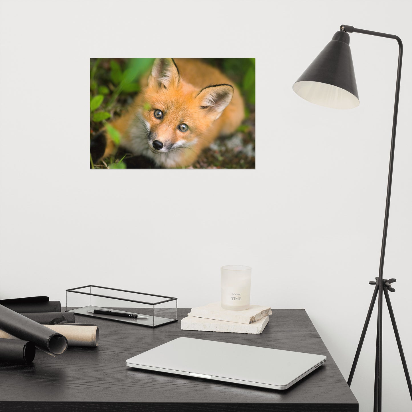 Young Red Fox Face Animal Wildlife Rustic Farmhouse Style Nature Photograph Loose Wall Art Print