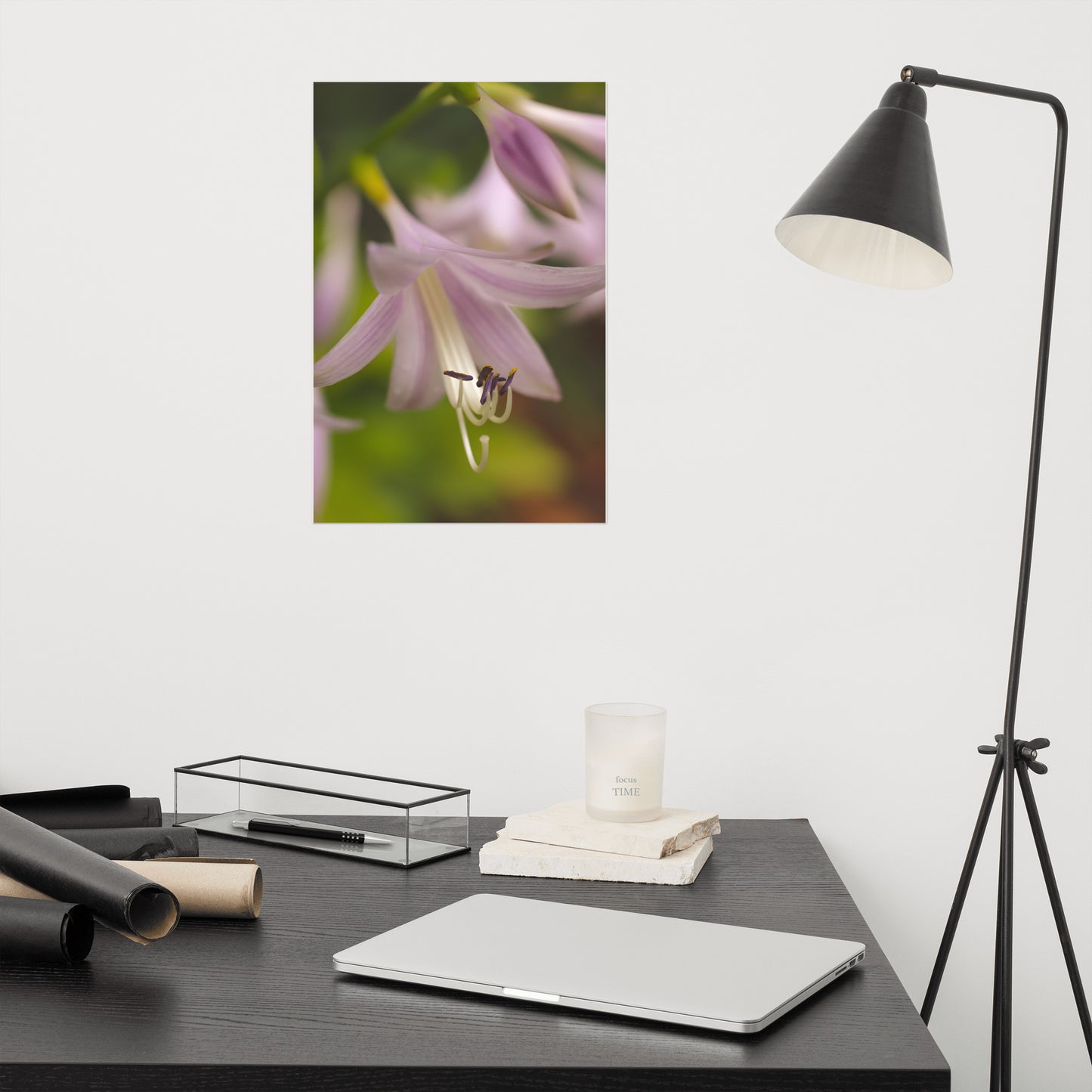 Close-up Hosta Bloom Floral Nature Photo Loose Unframed Wall Art Prints