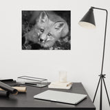 Young Red Fox Face Black and White Animal Wildlife Nature Photograph Loose Wall Art Print