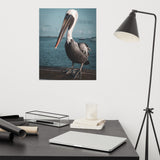 Bob The Pelican 2 Colorized Loose Wall Art Print
