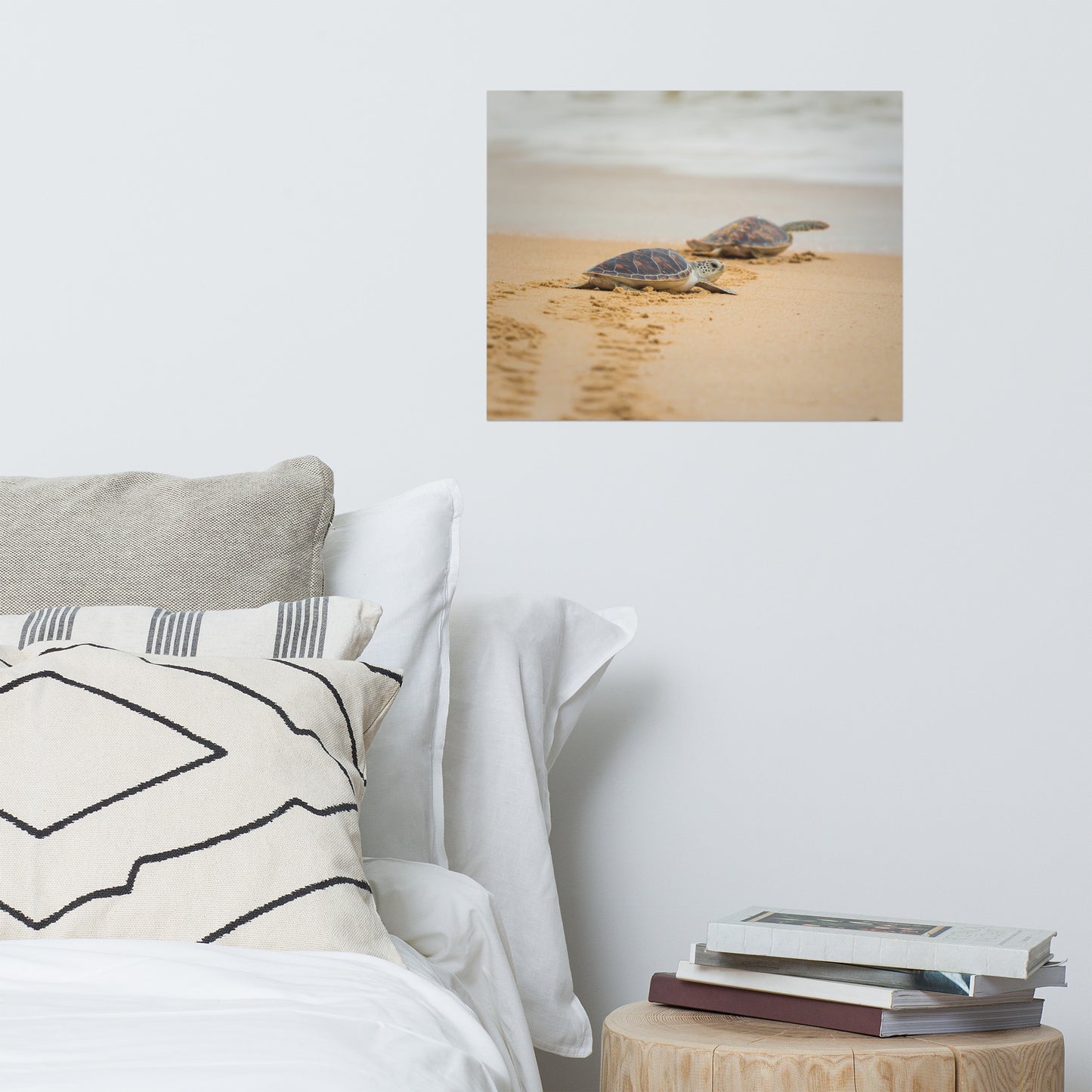 Aesthetic Posters For Your Room: Hawksbill Sea Turtle Hatchlings at the Shore Animal / Wildlife / Coastal / Nature Photograph Unframed / Loose / Frameless / Frameable Wall Art Prints - Artwork