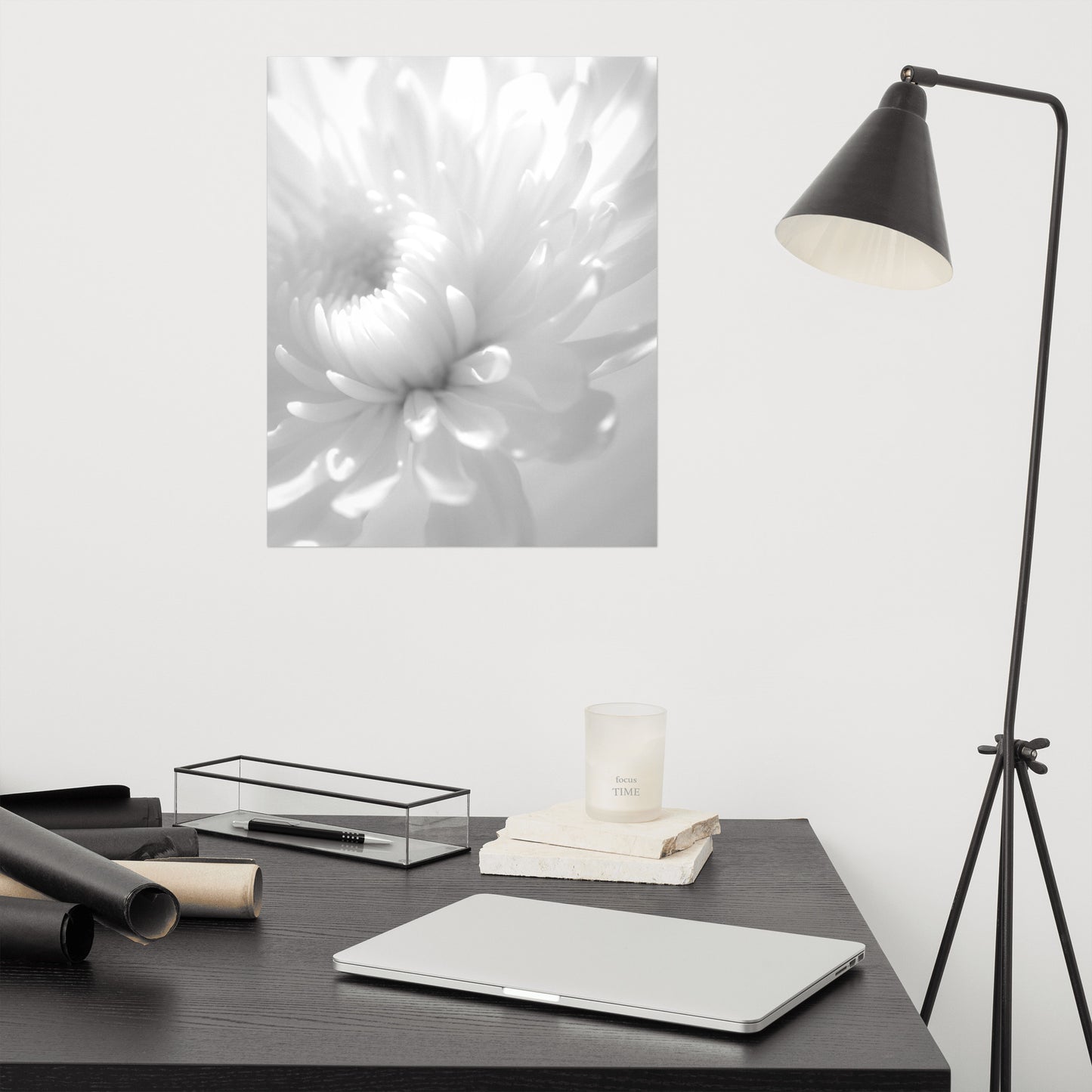 Infrared Flower Black and White Floral Nature Photo Loose Unframed Wall Art Prints