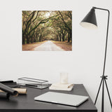 Botanical / Nature Landscape / Cityscape Abstract Decor Live Oaks and Spanish Moss Roadway Savannah Ga Loose Wall Art Print 16" x 20"