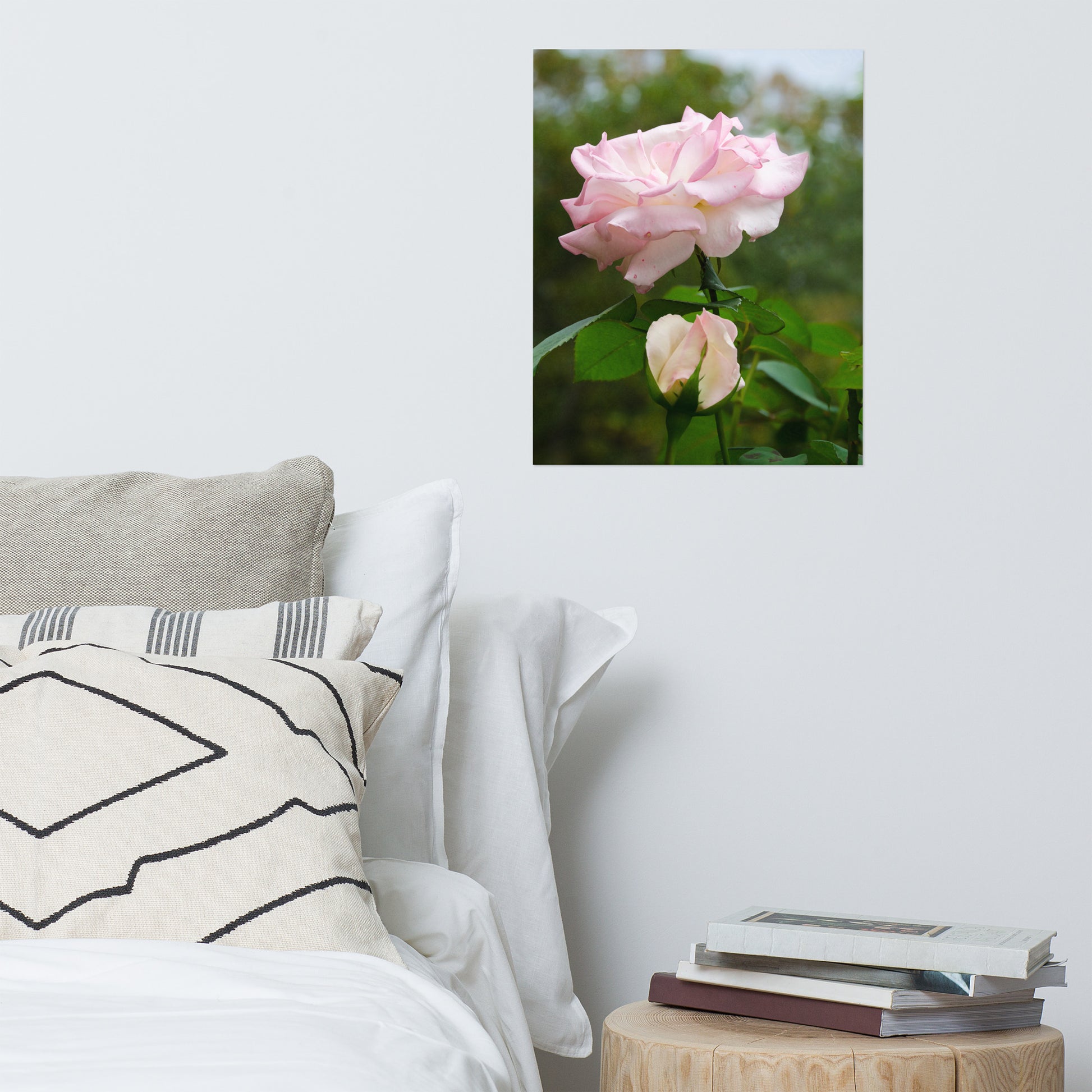 Aesthetic Flower Poster: Admiration Rose - Botanical / Floral / Flora / Flowers / Nature Photograph Loose / Unframed / Frameless / Frameable Wall Art Print - Artwork
