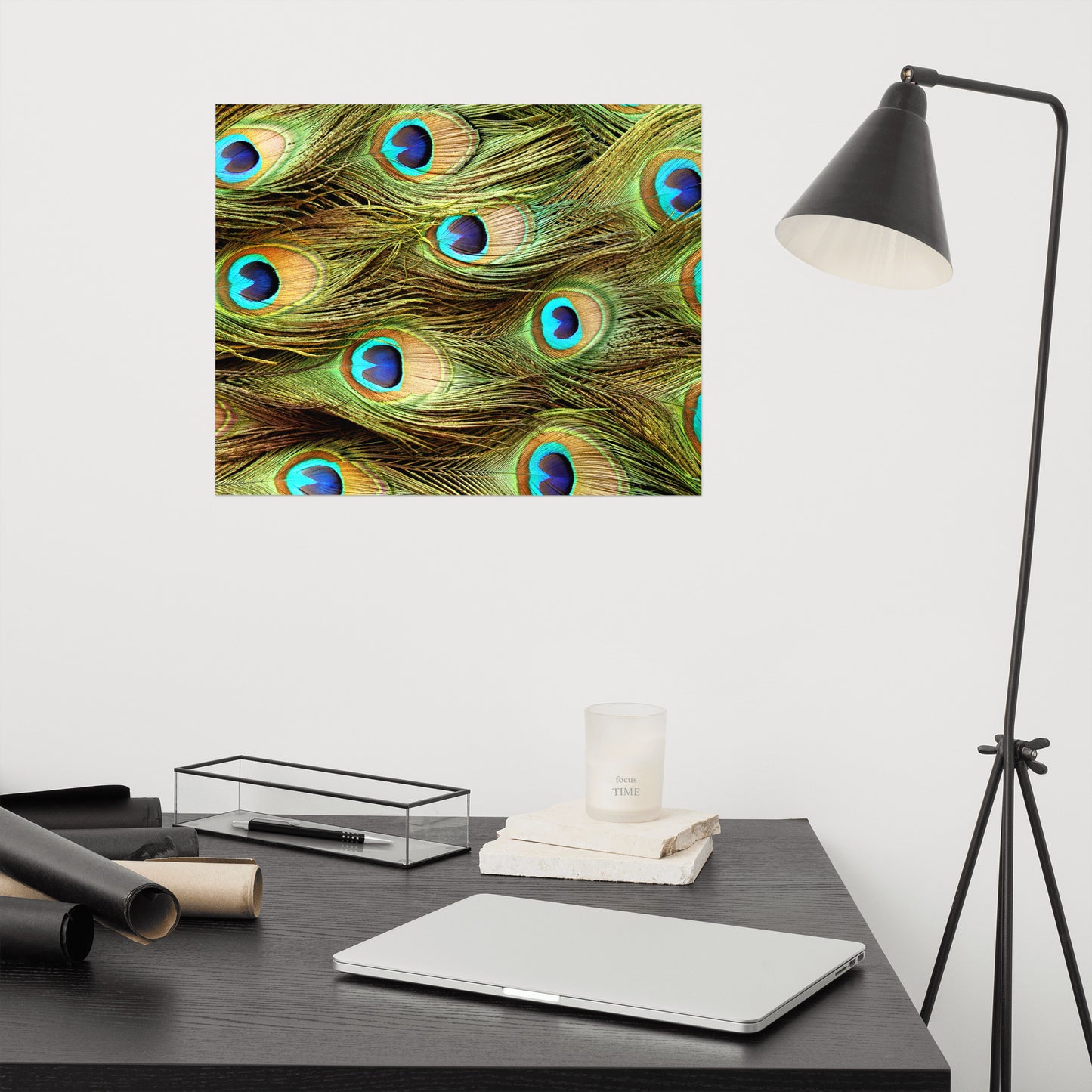 Peacock Feathers Close-Up Minimal Wildlife Wall Art Prints - Loose - Unframed