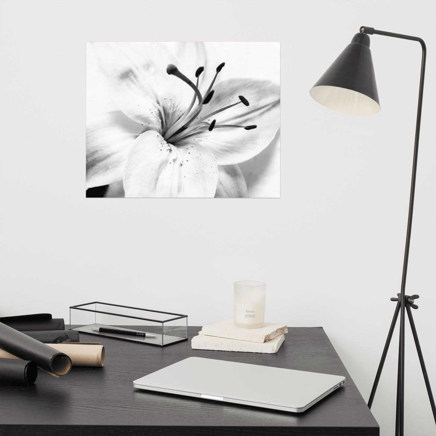 High Key Lily Floral Nature Photo Loose Unframed Wall Art Prints