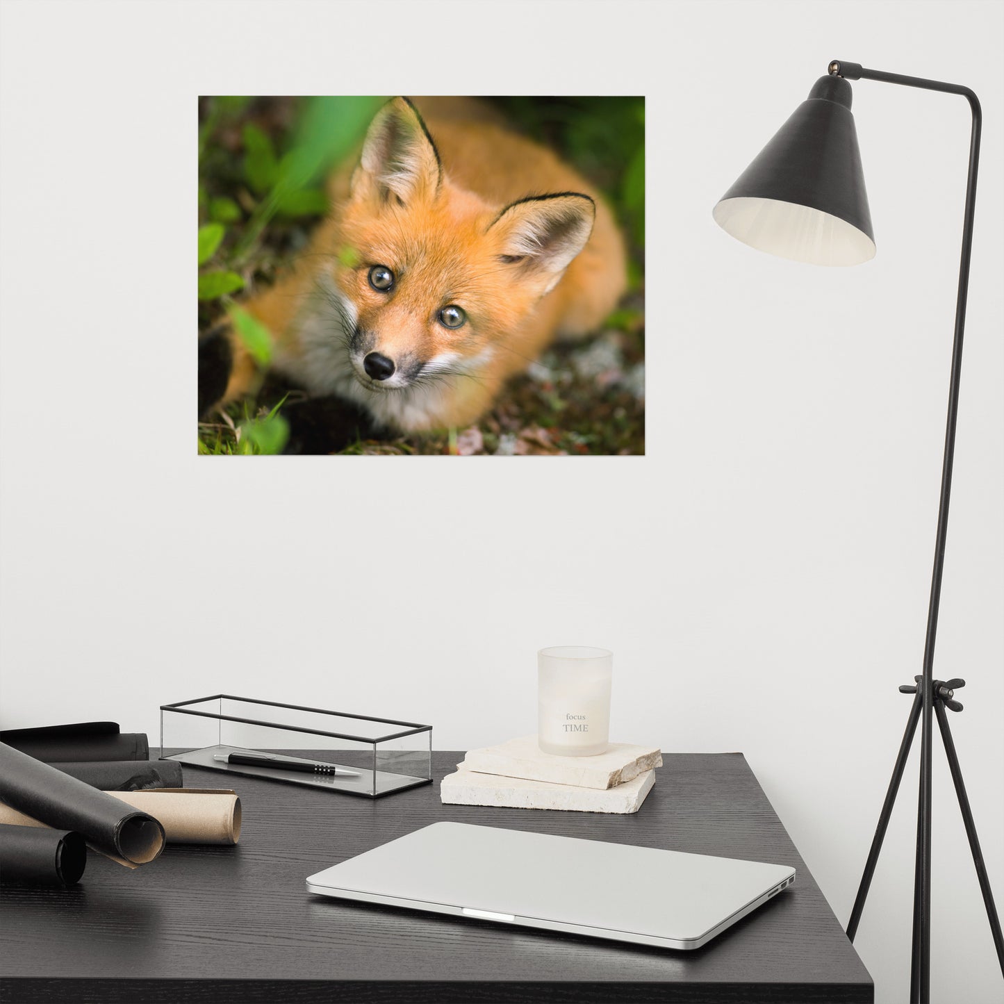 Young Red Fox Face Animal Wildlife Rustic Farmhouse Style Nature Photograph Loose Wall Art Print